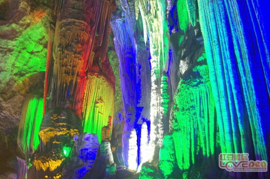 虫虫助手下载