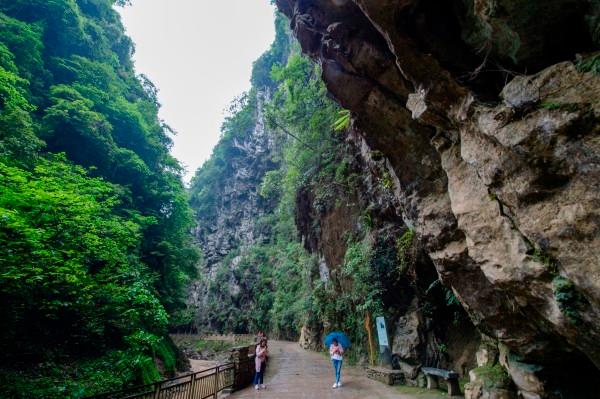 郑钦文能成为“下一个李娜”吗?