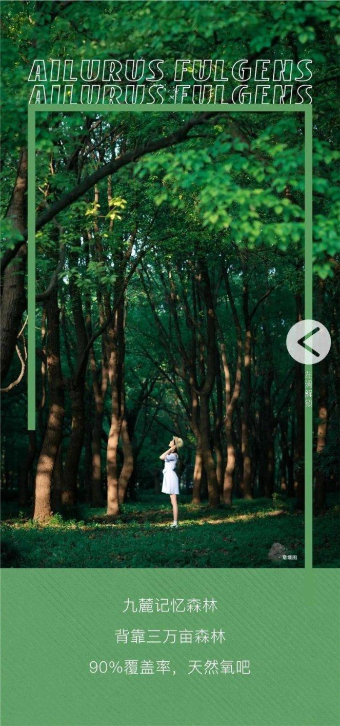 糖醋排骨教程游戏画面