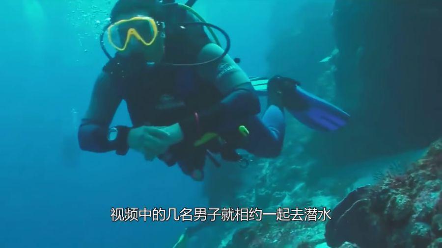 创作猫