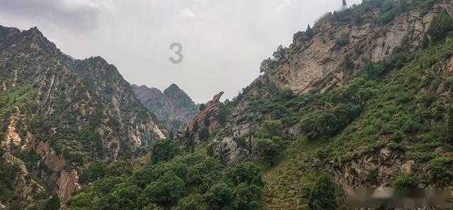 学区划分不看距离？城东一小区“就近入学”引争议