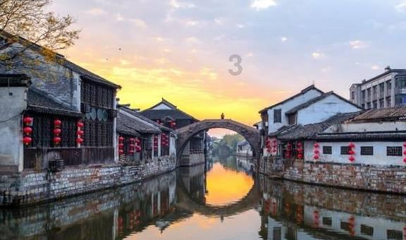 破碎的动物图形3